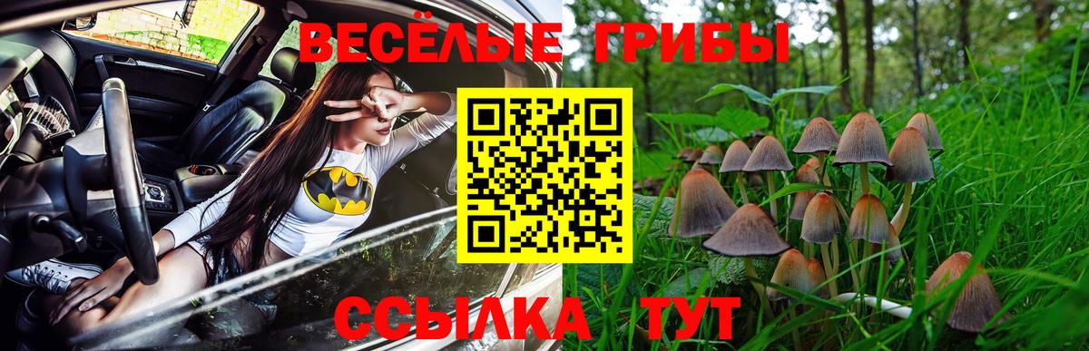 Псилоцибиновые грибы Psilocybe  Вход с VPN  Тобольск 