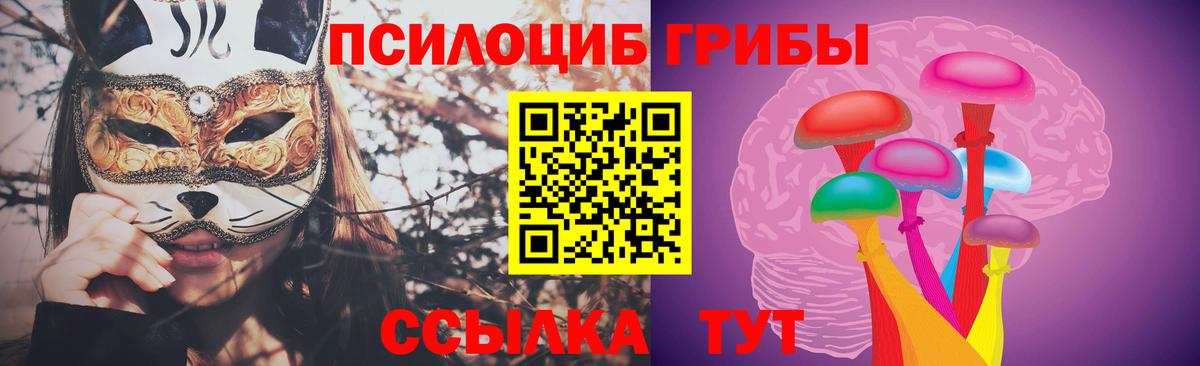 Псилоцибиновые грибы Magic Shrooms Тобольск